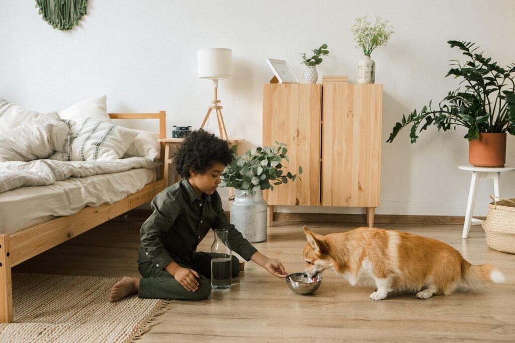 Young boy sitting on the floor feeding his dog in a modern 